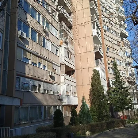 Like * Belgrade